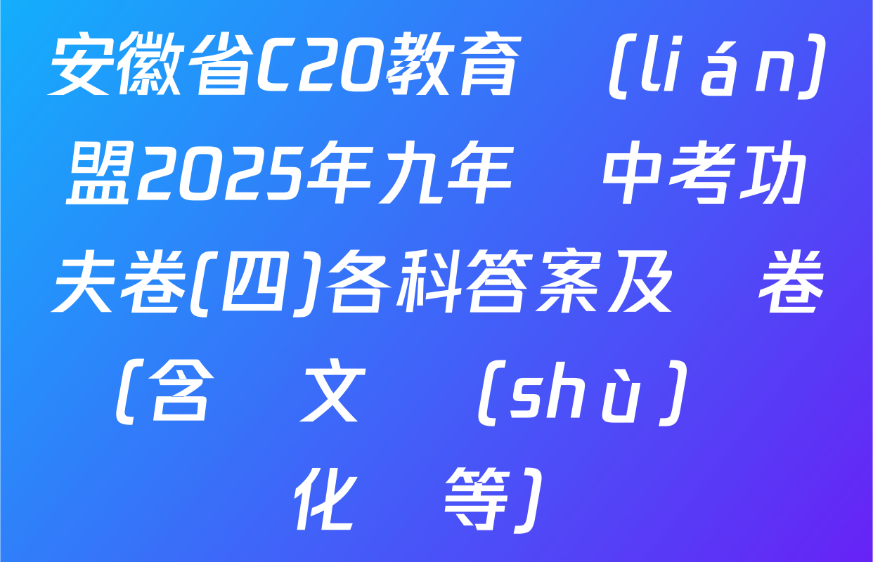 安徽省C20教育聯(lián)盟2025年九年級中考功夫卷(四)各科答案及試卷（含語文 數(shù)學 化學等）