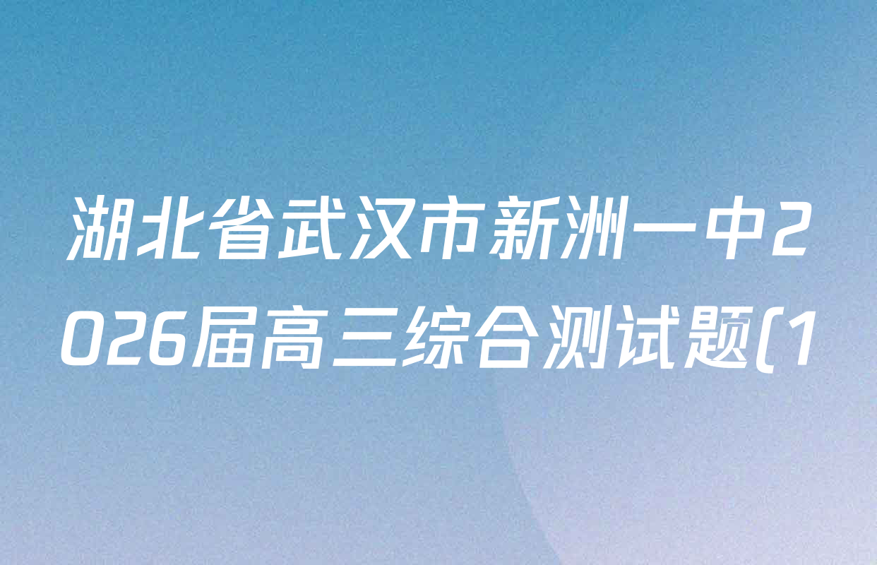 湖北省武汉市新洲一中2026届高三综合测试题(1)各科答案及试卷: 含英语 化学 语文试卷解析 湖北省武汉市新洲一中2026届高三综合测试题(1)各科答案及试卷: 含英语 化学 语文试卷解析