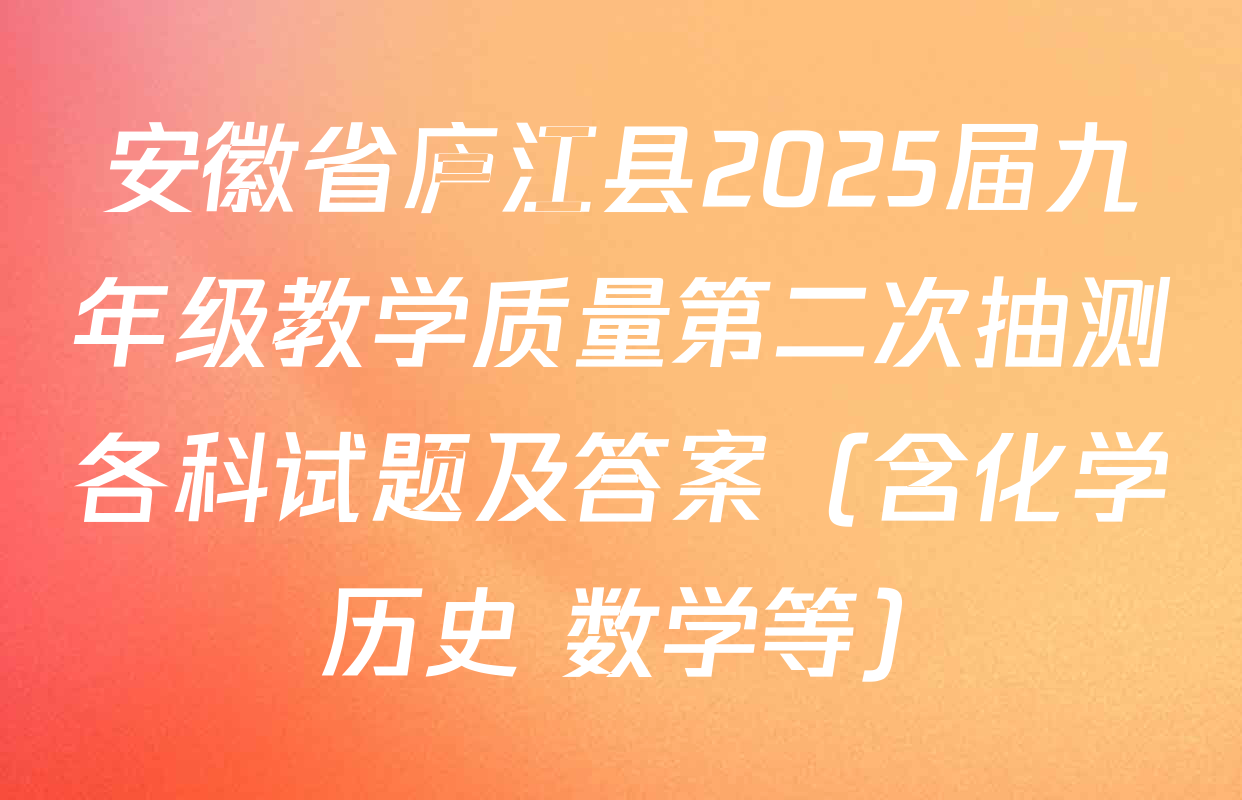 安徽省庐江县2025届九年级教学质量第二次抽测各科试题及答案（含化学 历史 数学等）