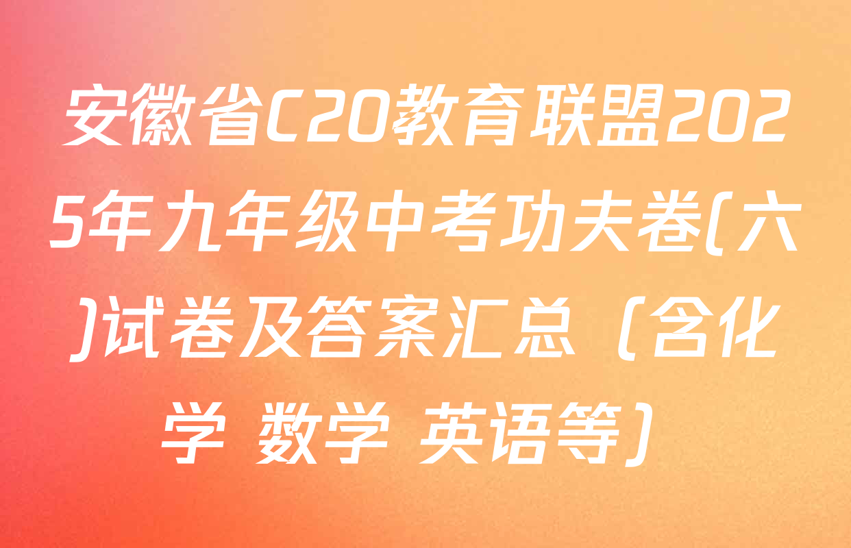 安徽省C20教育联盟2025年九年级中考功夫卷(六)试卷及答案汇总（含化学 数学 英语等）