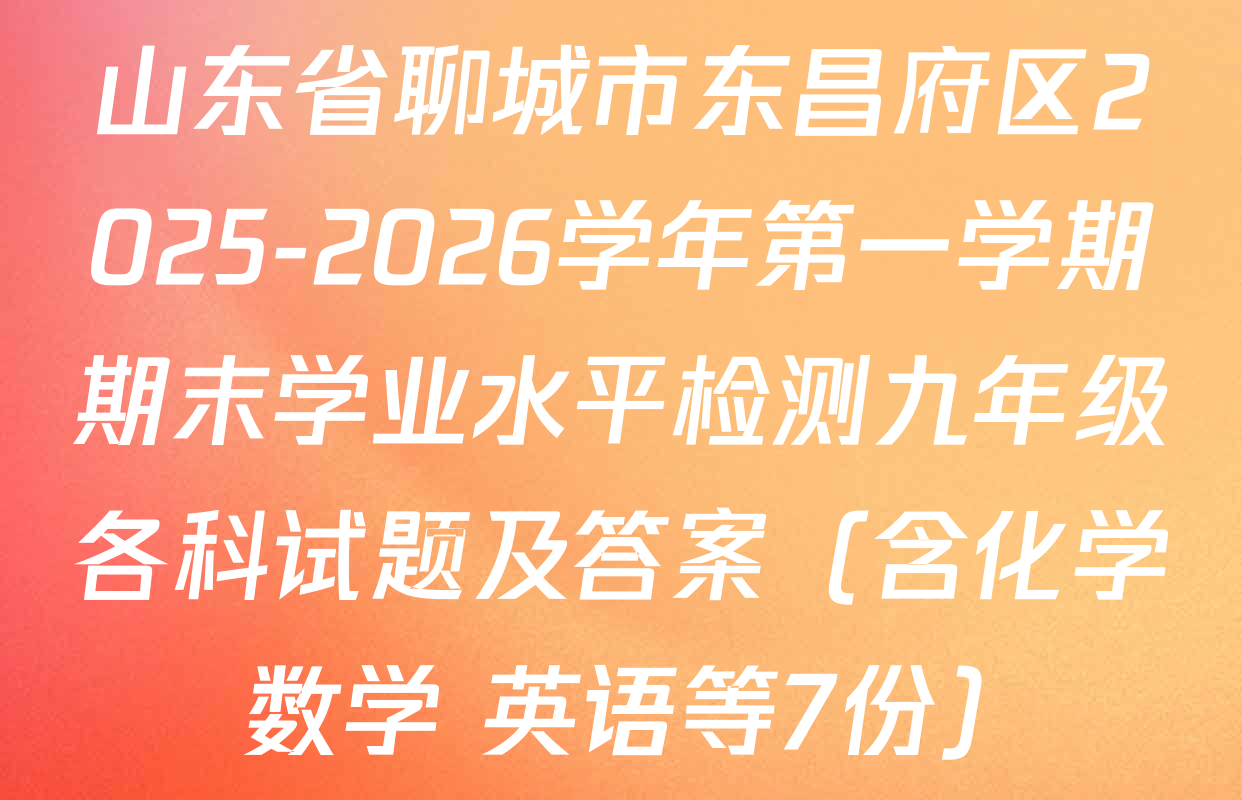 山东省聊城市东昌府区2025-2026学年第一学期期末学业水平检测九年级各科试题及答案（含化学 数学 英语等7份）