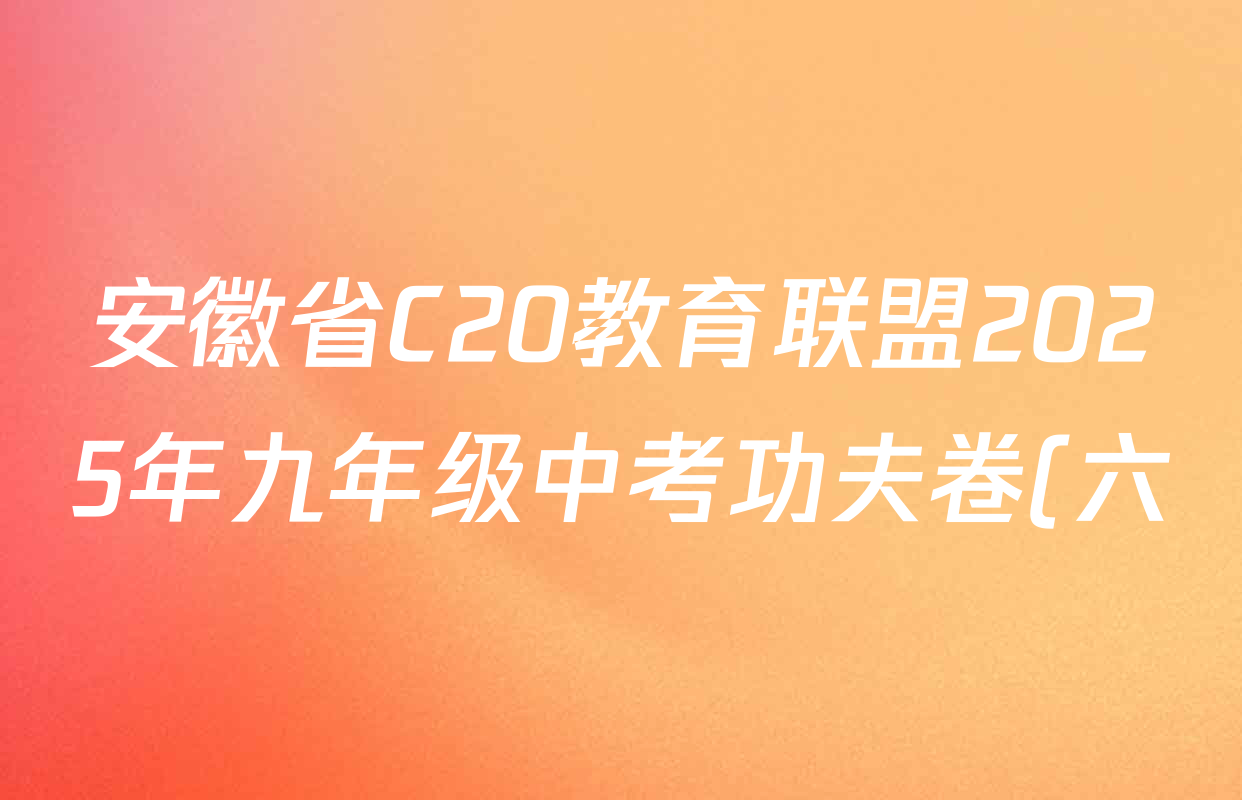 安徽省C20教育联盟2025年九年级中考功夫卷(六)试卷及答案汇总(含化学 数学 英语等) 安徽省C20教育联盟2025年九年级中考功夫卷(六)试卷及答案汇总(含化学 数学 英语等)