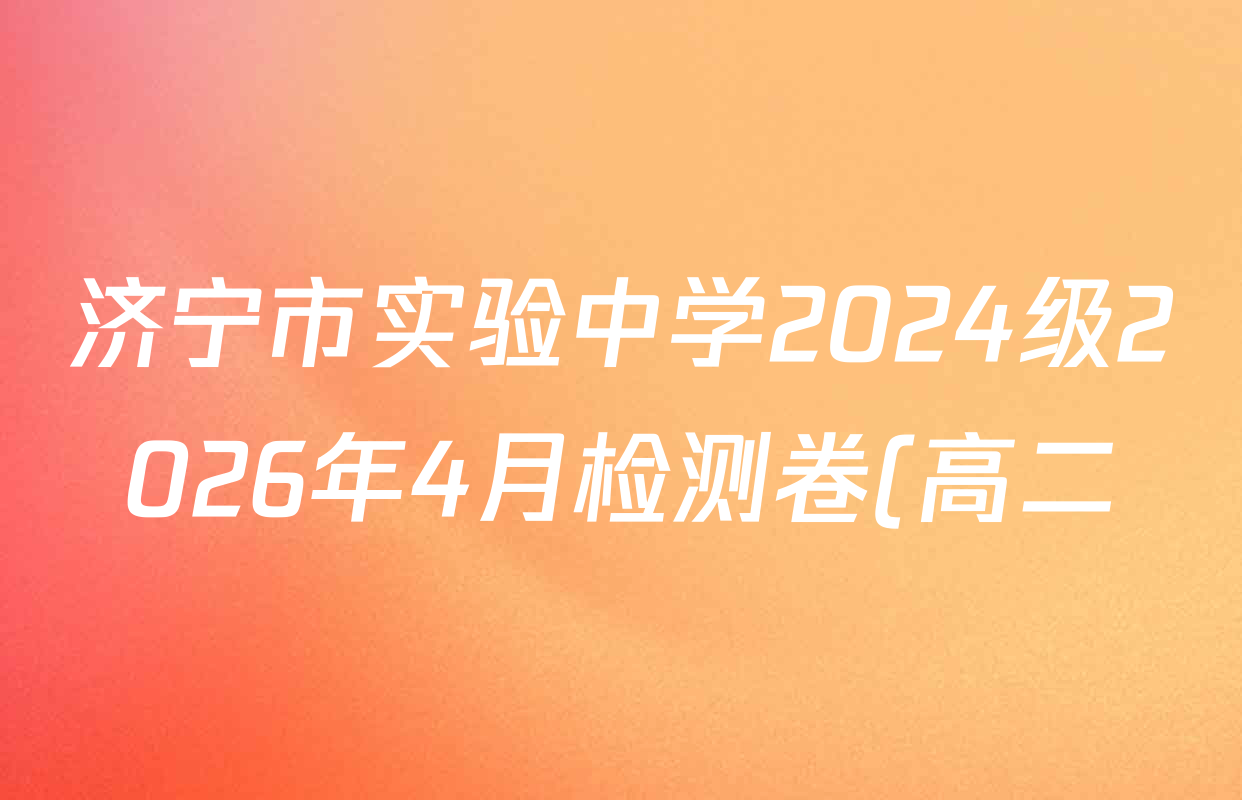 济宁市实验中学2024级2026年4月检测卷(高二)各科试题及答案(含数学、政治、化学等9份)