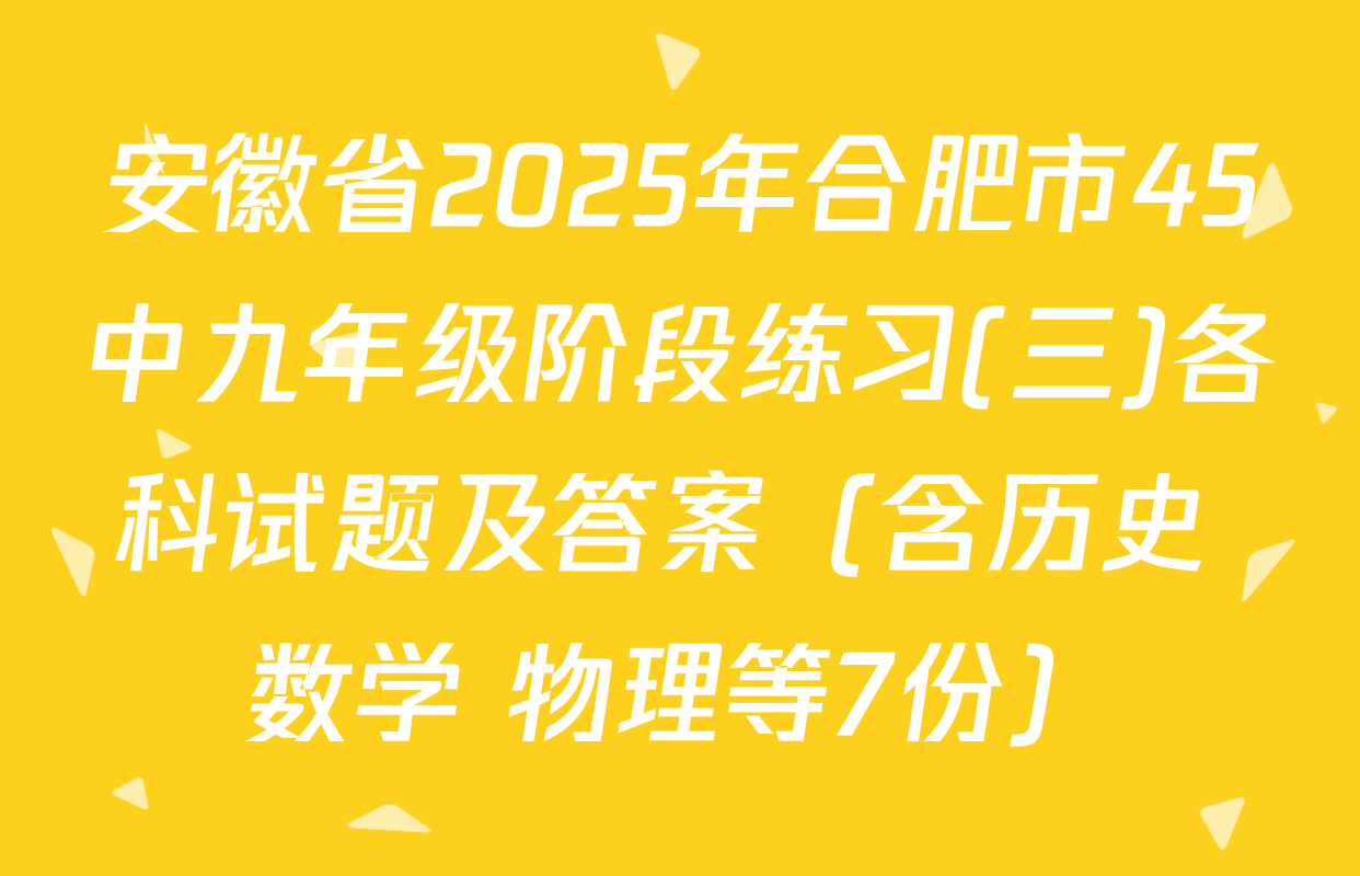 安徽省2025年合肥市45中九年级阶段练习(三)各科试题及答案（含历史 数学 物理等7份）