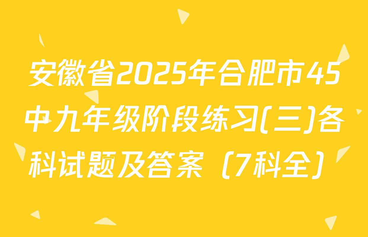 安徽省2025年合肥市45中九年级阶段练习(三)各科试题及答案（7科全）