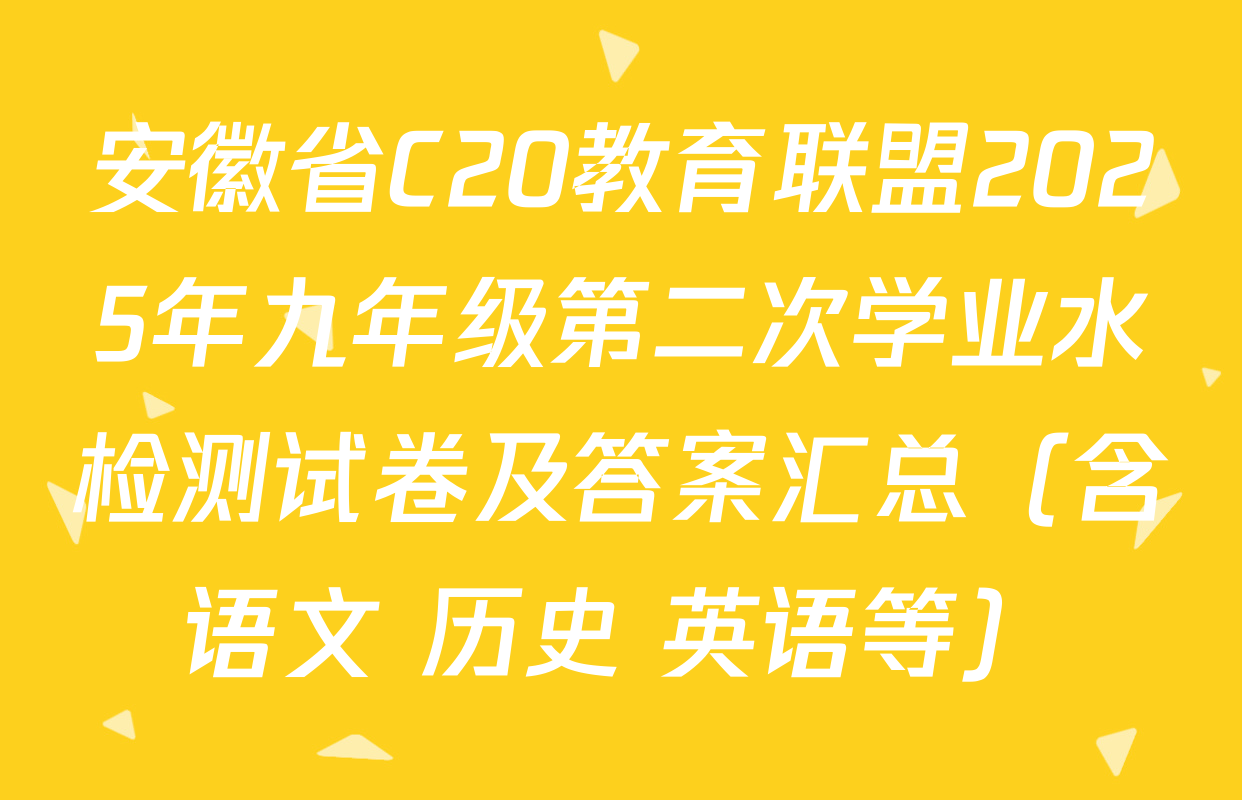 安徽省C20教育联盟2025年九年级第二次学业水检测试卷及答案汇总（含语文 历史 英语等）