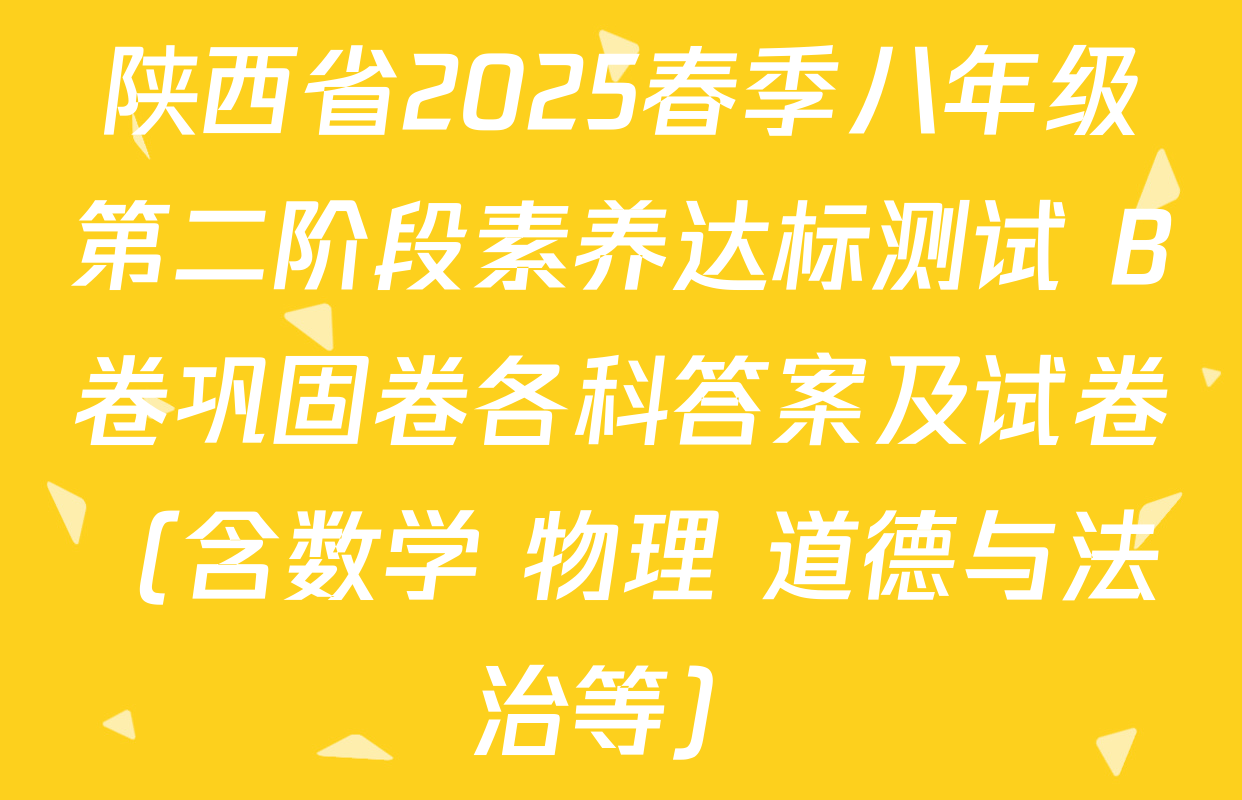 陕西省2025春季八年级第二阶段素养达标测试 B卷巩固卷各科答案及试卷（含数学 物理 道德与法治等）