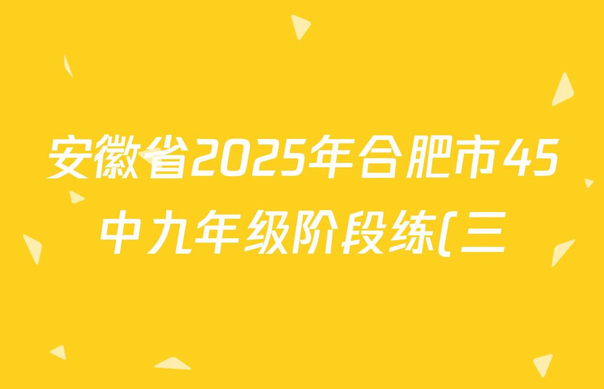 安徽省2025年合肥市45中九年级阶段练(三)各科试题及答案(含化学、历史、道德与法治等) 安徽省2025年合肥市45中九年级阶段练(三)各科试题及答案(含化学、历史、道德与法治等)