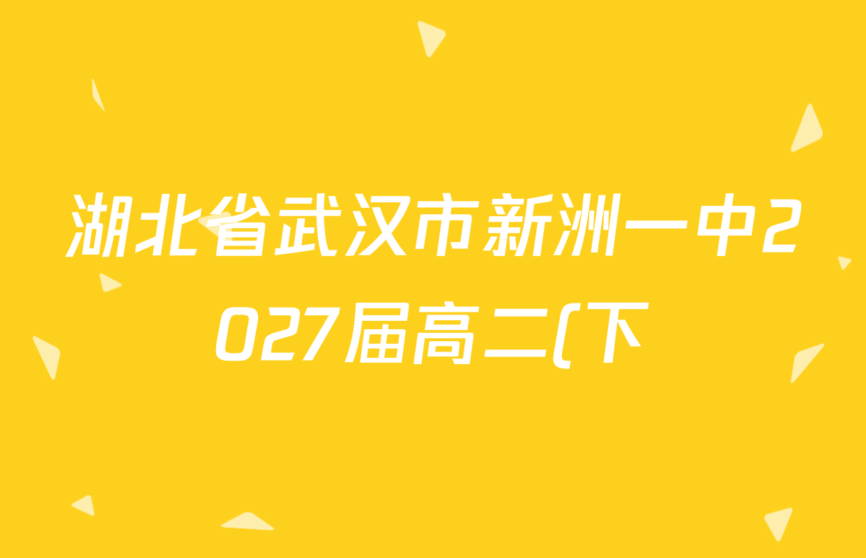 湖北省武汉市新洲一中2027届高二(下)收心作业各科答案及试卷(含历史、化学、政治等) 湖北省武汉市新洲一中2027届高二(下)收心作业各科答案及试卷(含历史、化学、政治等)