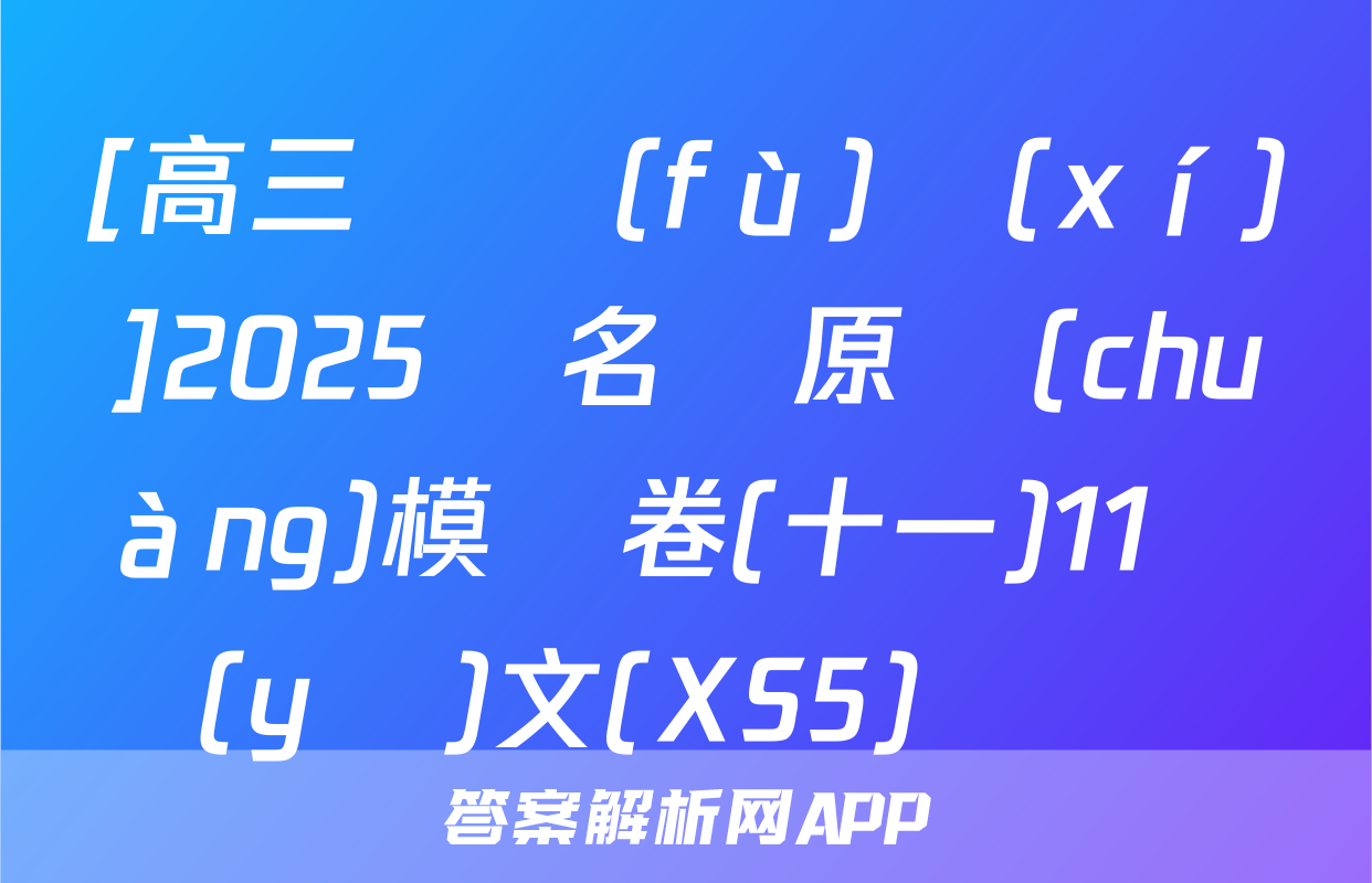 [高三總復(fù)習(xí)]2025屆名師原創(chuàng)模擬卷(十一)11語(yǔ)文(XS5)試題