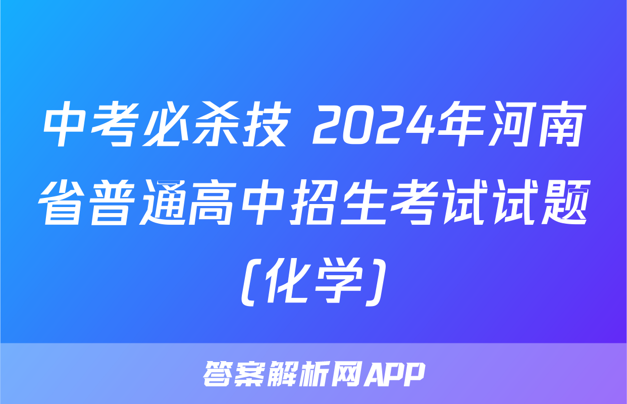 中考必杀技 2024年河南省普通高中招生考试试题(化学)