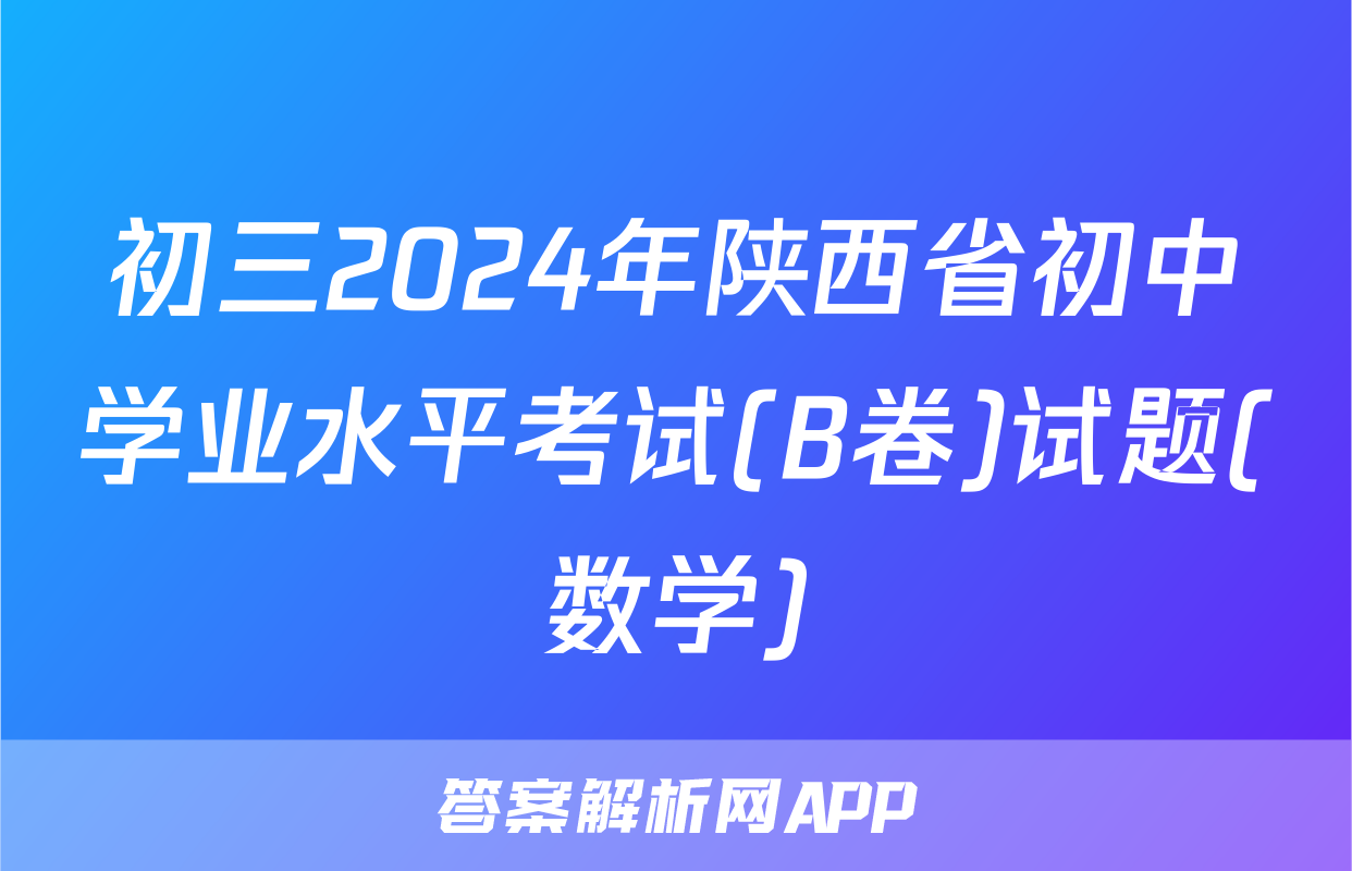 初三2024年陕西省初中学业水平考试(B卷)试题(数学)