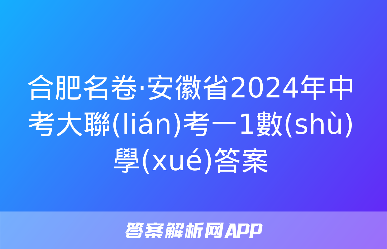 合肥名卷·安徽省2024年中考大聯(lián)考一1數(shù)學(xué)答案