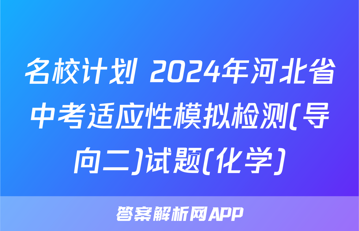 名校计划 2024年河北省中考适应性模拟检测(导向二)试题(化学)
