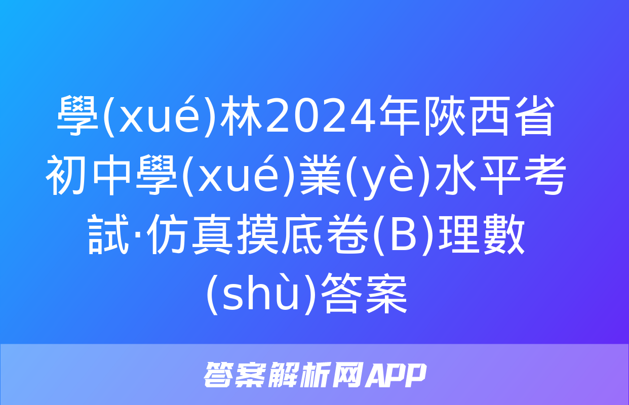 學(xué)林2024年陜西省初中學(xué)業(yè)水平考試·仿真摸底卷(B)理數(shù)答案