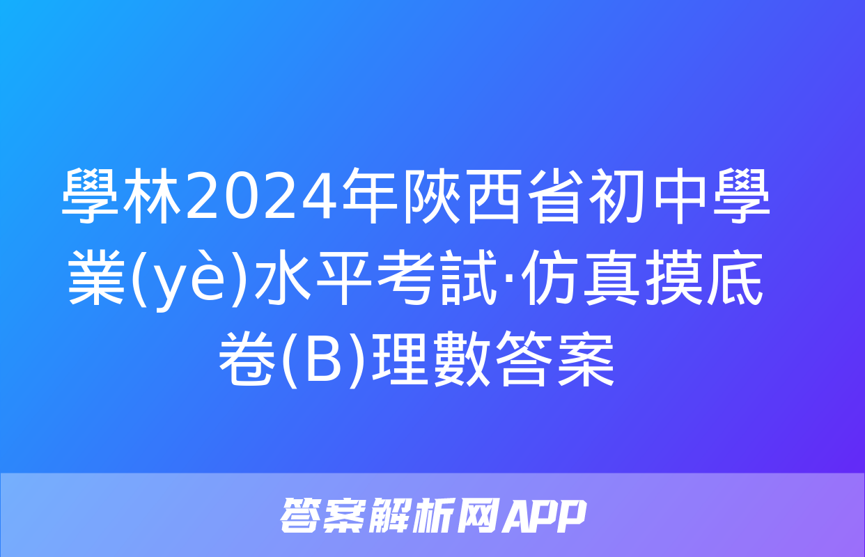 學林2024年陜西省初中學業(yè)水平考試·仿真摸底卷(B)理數答案