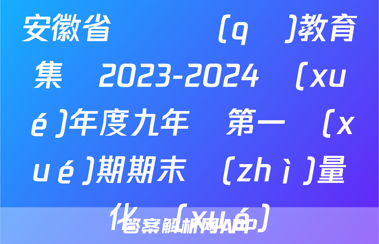 安徽省埇橋區(qū)教育集團2023-2024學(xué)年度九年級第一學(xué)期期末質(zhì)量檢測化學(xué)試題
