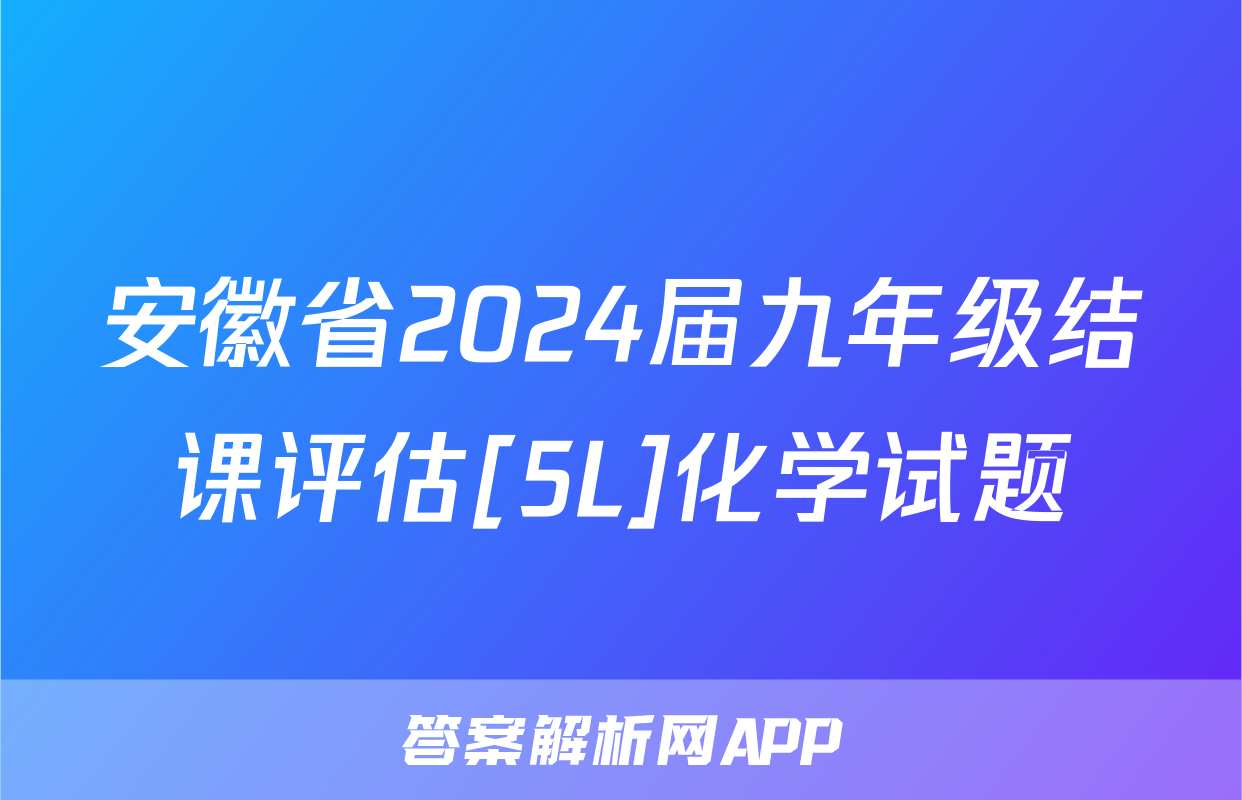 安徽省2024届九年级结课评估[5L]化学试题
