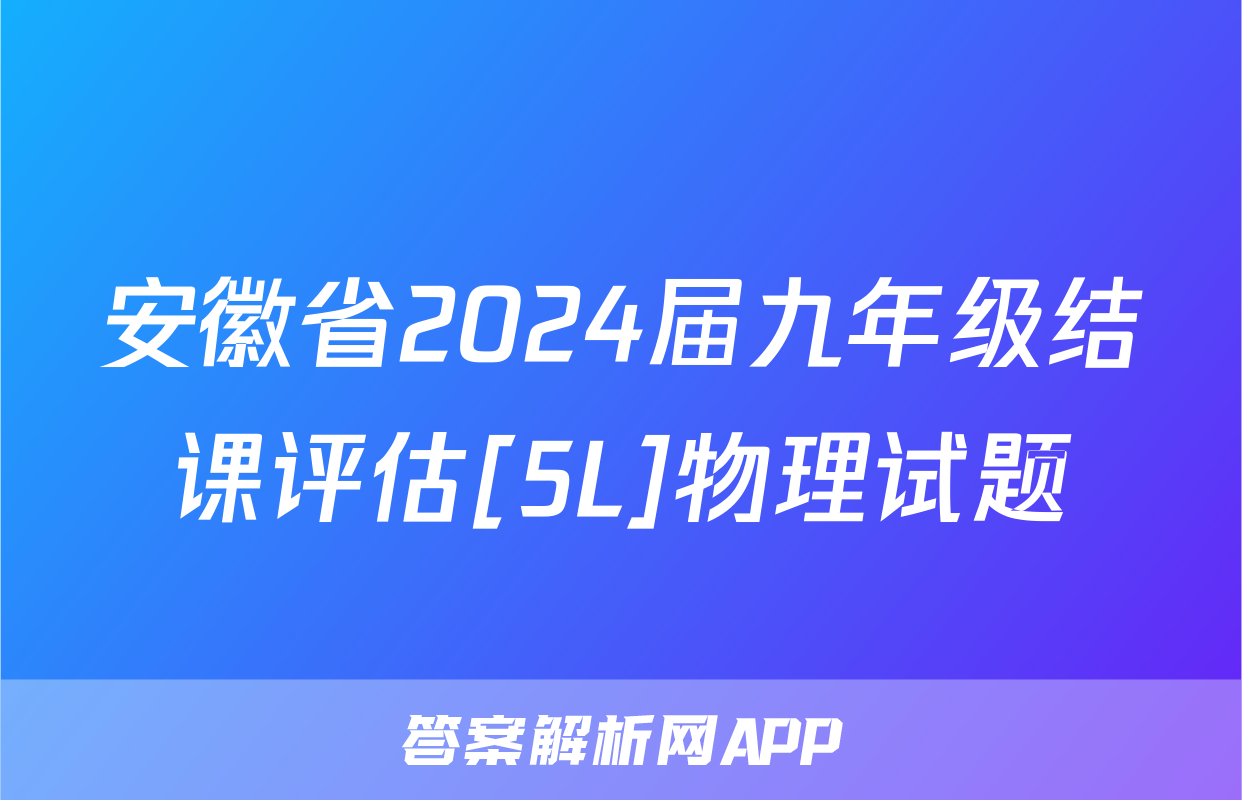 安徽省2024届九年级结课评估[5L]物理试题