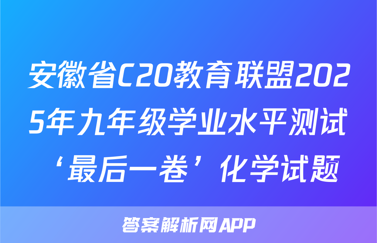 安徽省C20教育联盟2025年九年级学业水平测试‘最后一卷’化学试题
