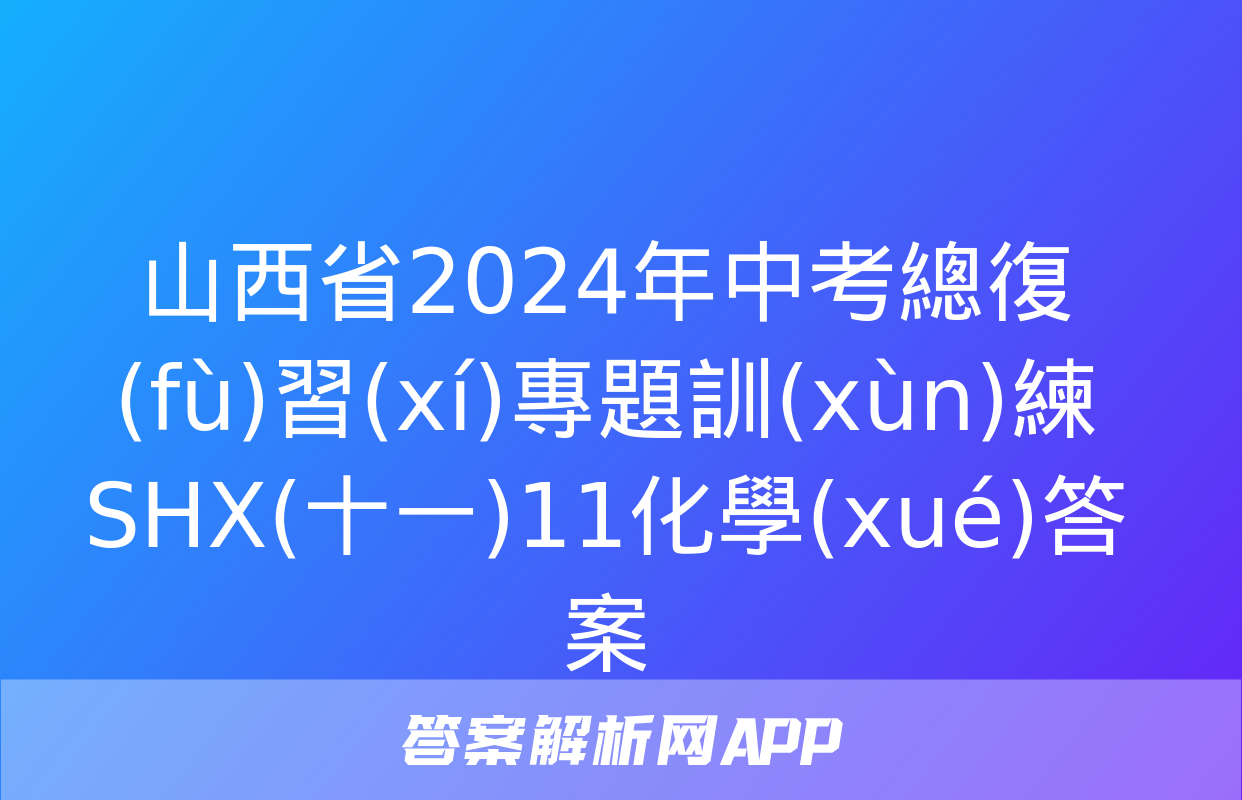 山西省2024年中考總復(fù)習(xí)專題訓(xùn)練 SHX(十一)11化學(xué)答案