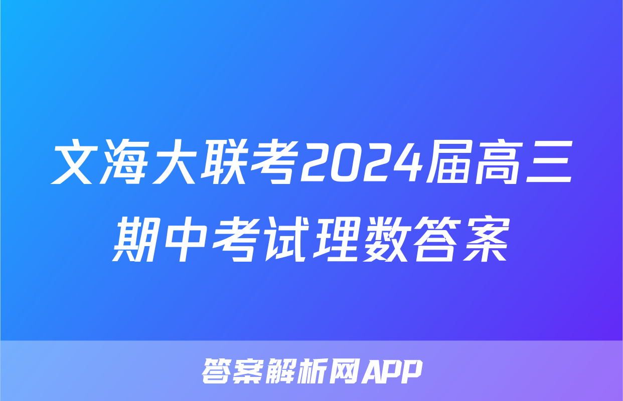 文海大联考2024届高三期中考试理数答案