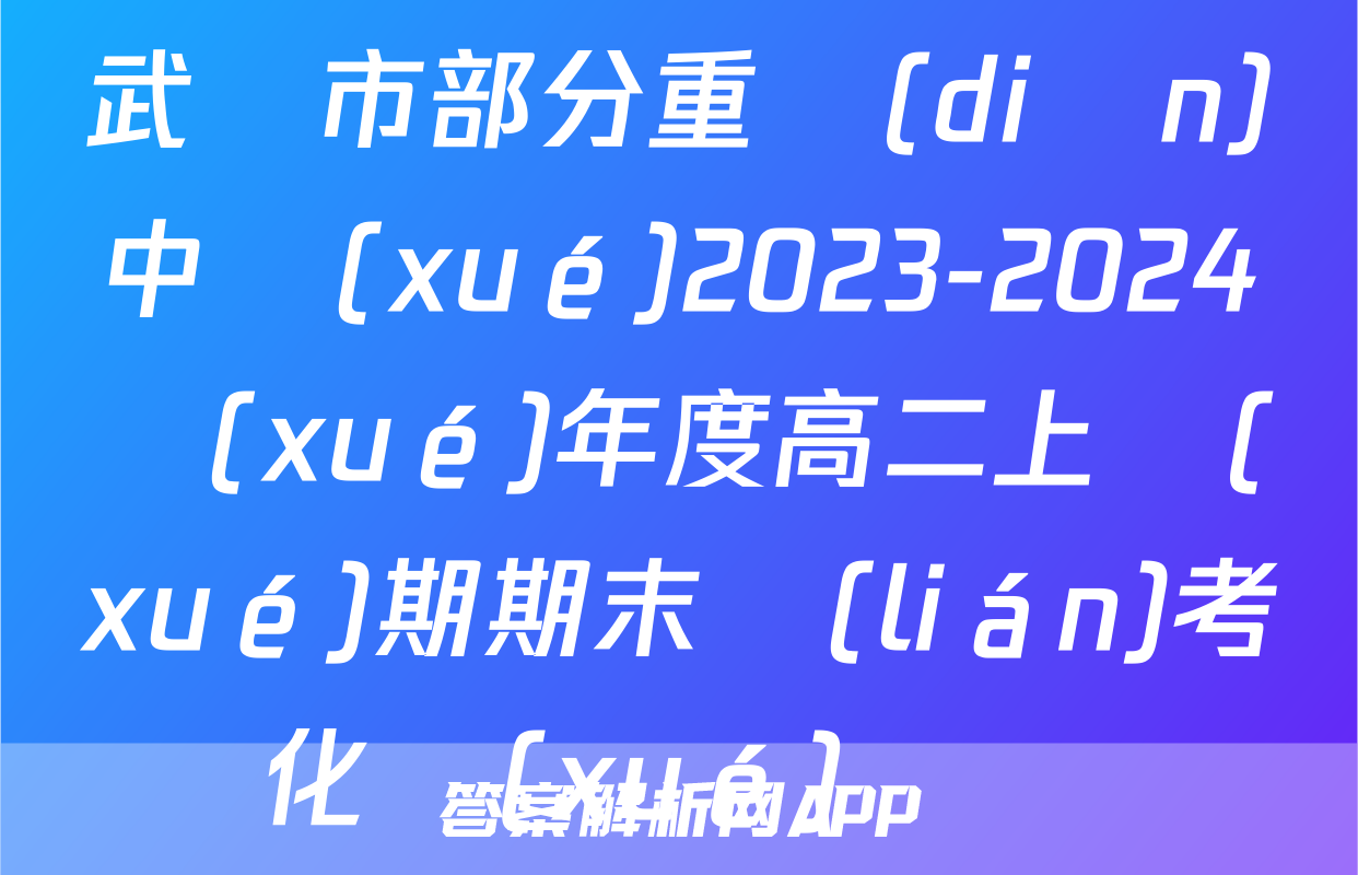 武漢市部分重點(diǎn)中學(xué)2023-2024學(xué)年度高二上學(xué)期期末聯(lián)考化學(xué)試題