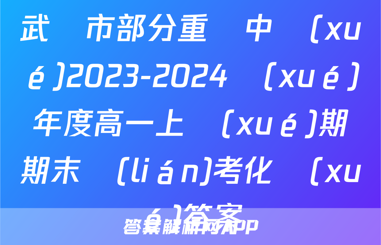 武漢市部分重點中學(xué)2023-2024學(xué)年度高一上學(xué)期期末聯(lián)考化學(xué)答案