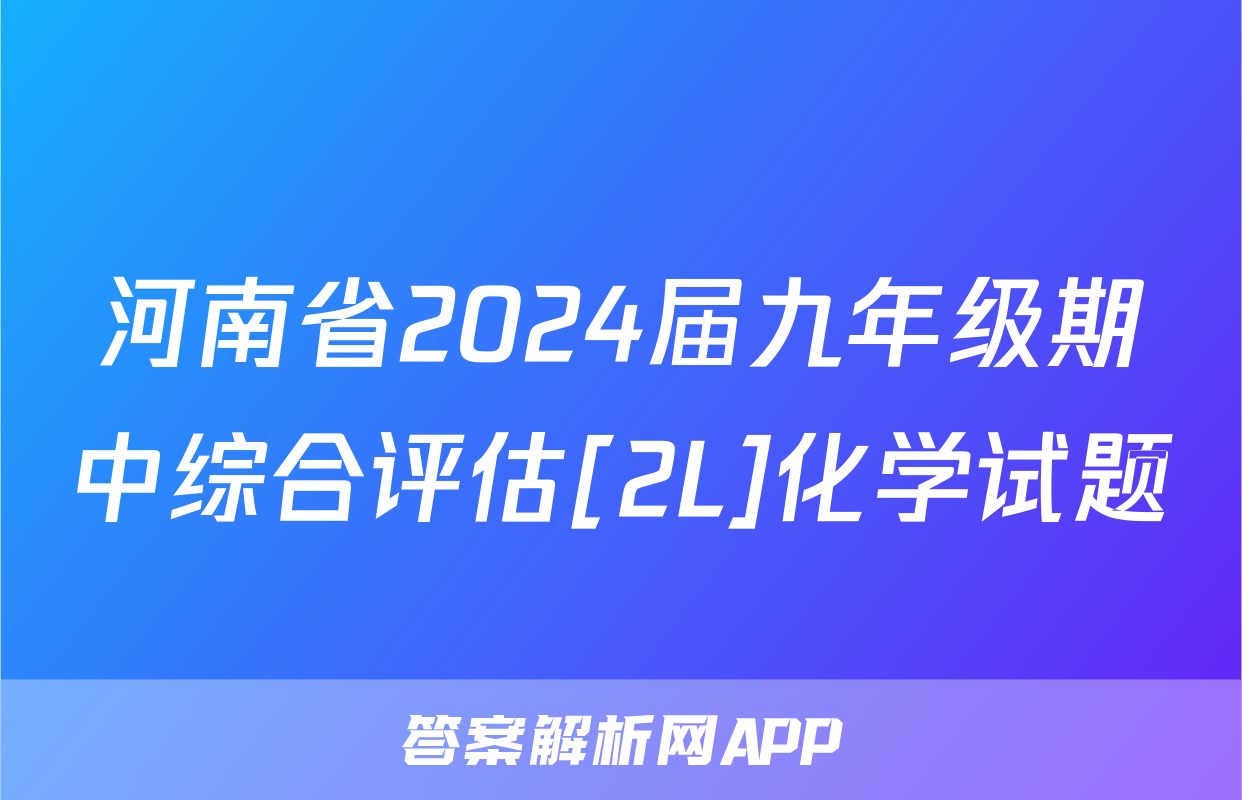 河南省2024届九年级期中综合评估[2L]化学试题