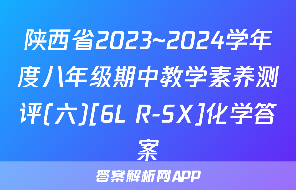 陕西省2023~2024学年度八年级期中教学素养测评(六)[6L R-SX]化学答案
