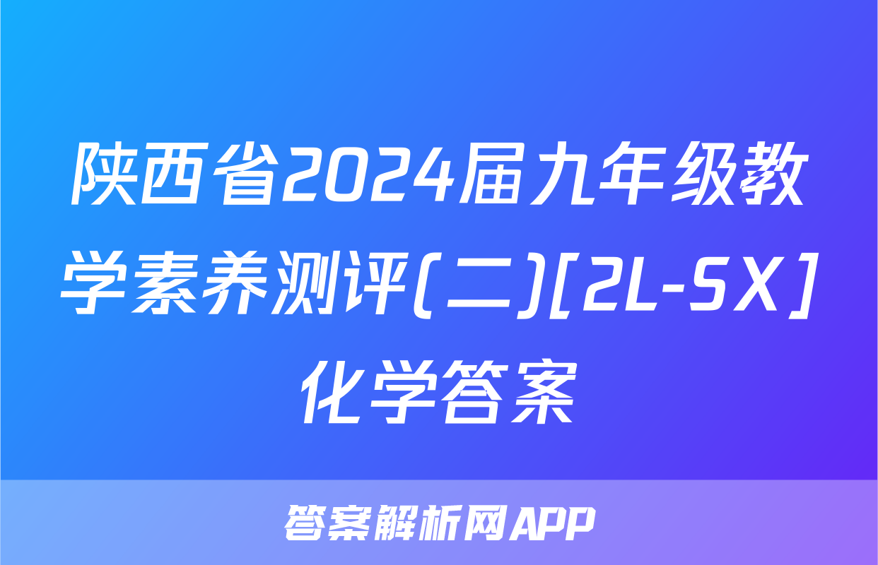 陕西省2024届九年级教学素养测评(二)[2L-SX]化学答案