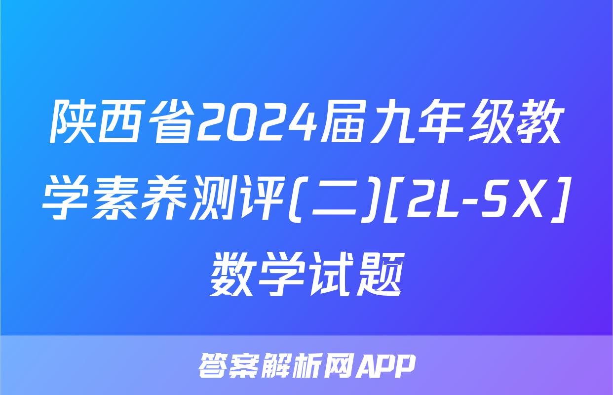 陕西省2024届九年级教学素养测评(二)[2L-SX]数学试题