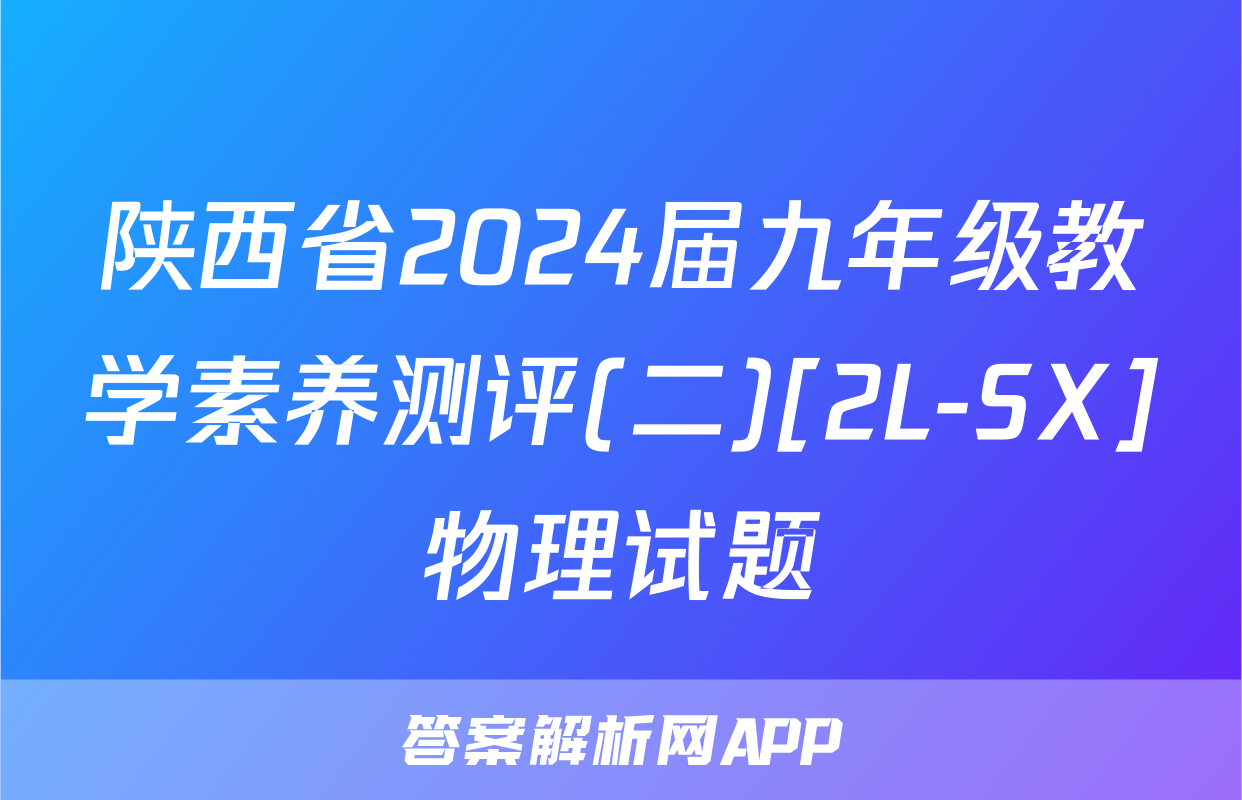 陕西省2024届九年级教学素养测评(二)[2L-SX]物理试题
