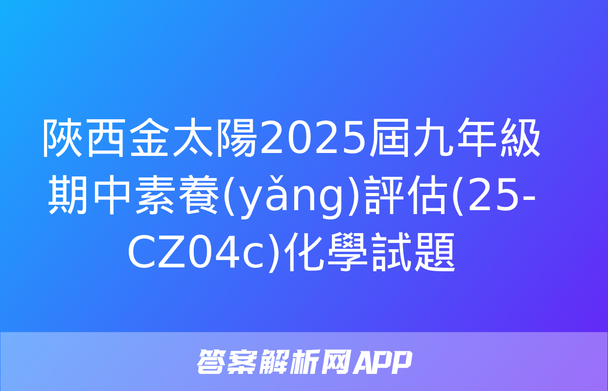 陜西金太陽2025屆九年級期中素養(yǎng)評估(25-CZ04c)化學試題