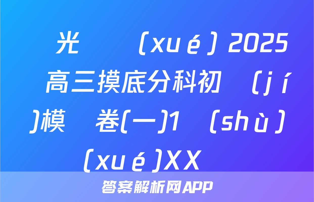 陽光啟學(xué) 2025屆高三摸底分科初級(jí)模擬卷(一)1數(shù)學(xué)XX試題