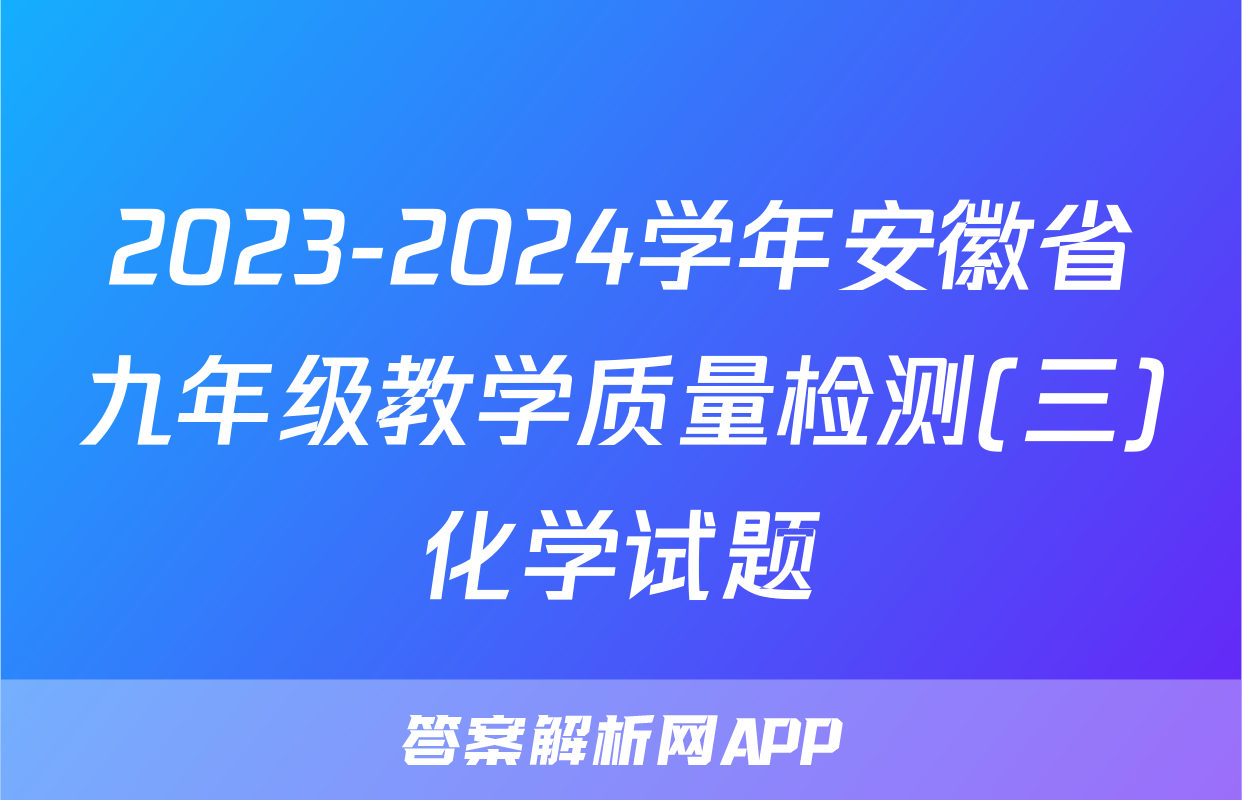 2023-2024学年安徽省九年级教学质量检测(三)化学试题
