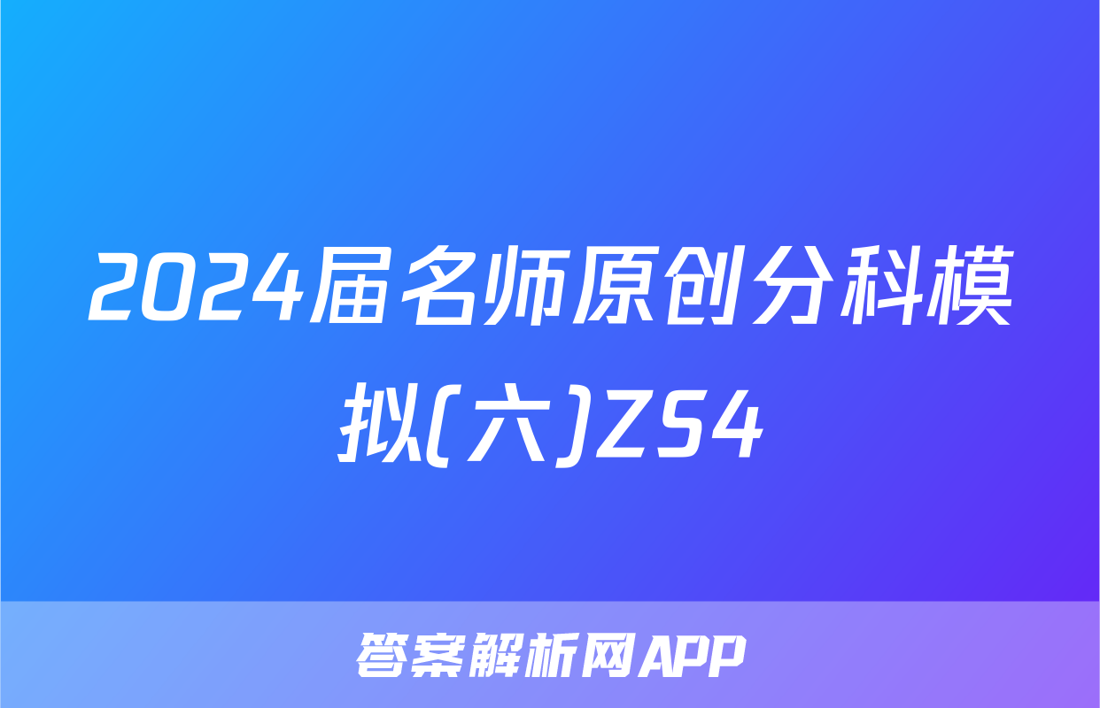 2024届名师原创分科模拟(六)ZS4&政治