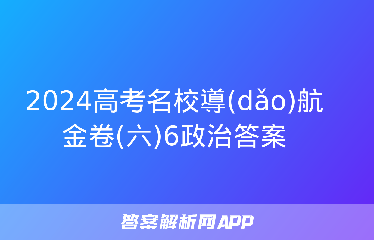 2024高考名校導(dǎo)航金卷(六)6政治答案