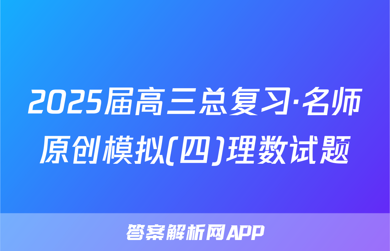 2025届高三总复习·名师原创模拟(四)理数试题